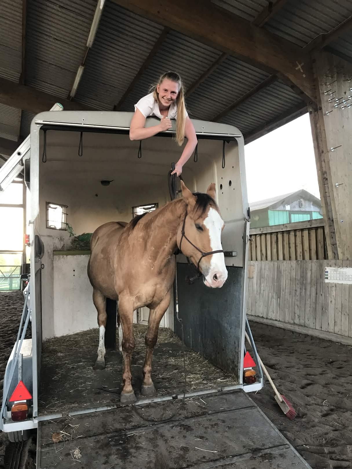 Natural Horsemanship