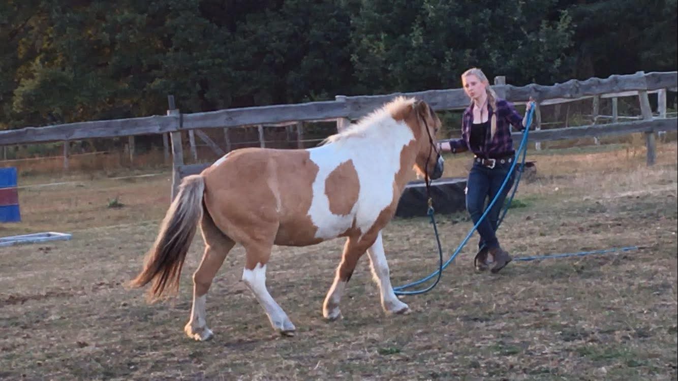 Ganzheitlich verbunden