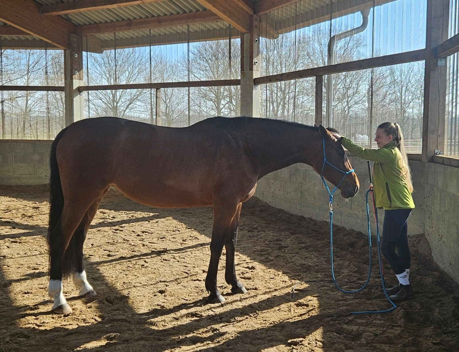 Pferdeosteopathie Sammeltermin