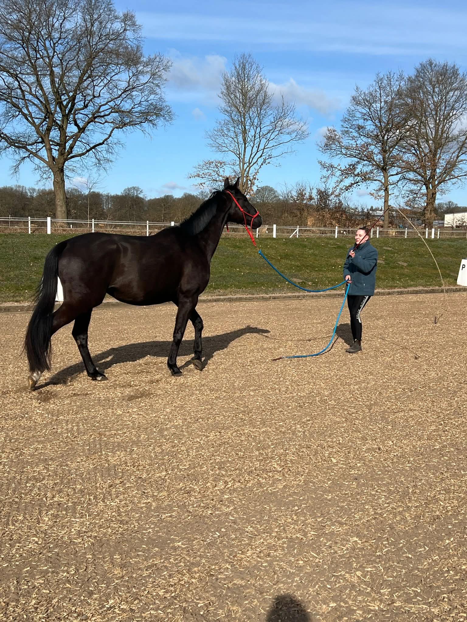 Alissa mit Pferd im Meer