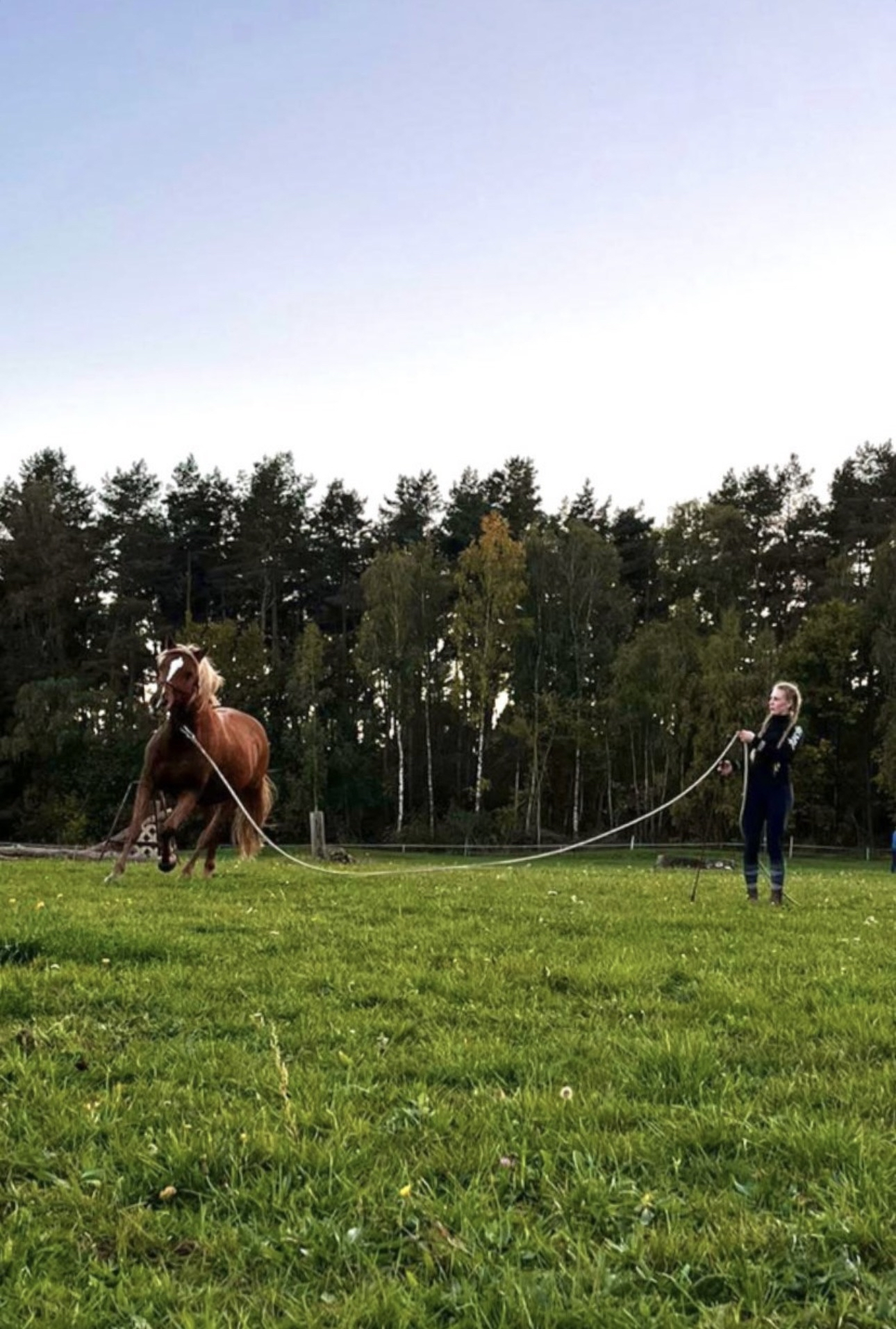 Verbindung schafft Vertrauen Kurspaket