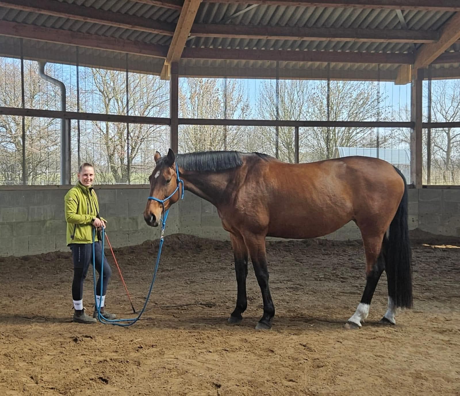 Horsemanship-Kurs direkt am Stall mit mehreren Teilnehmern