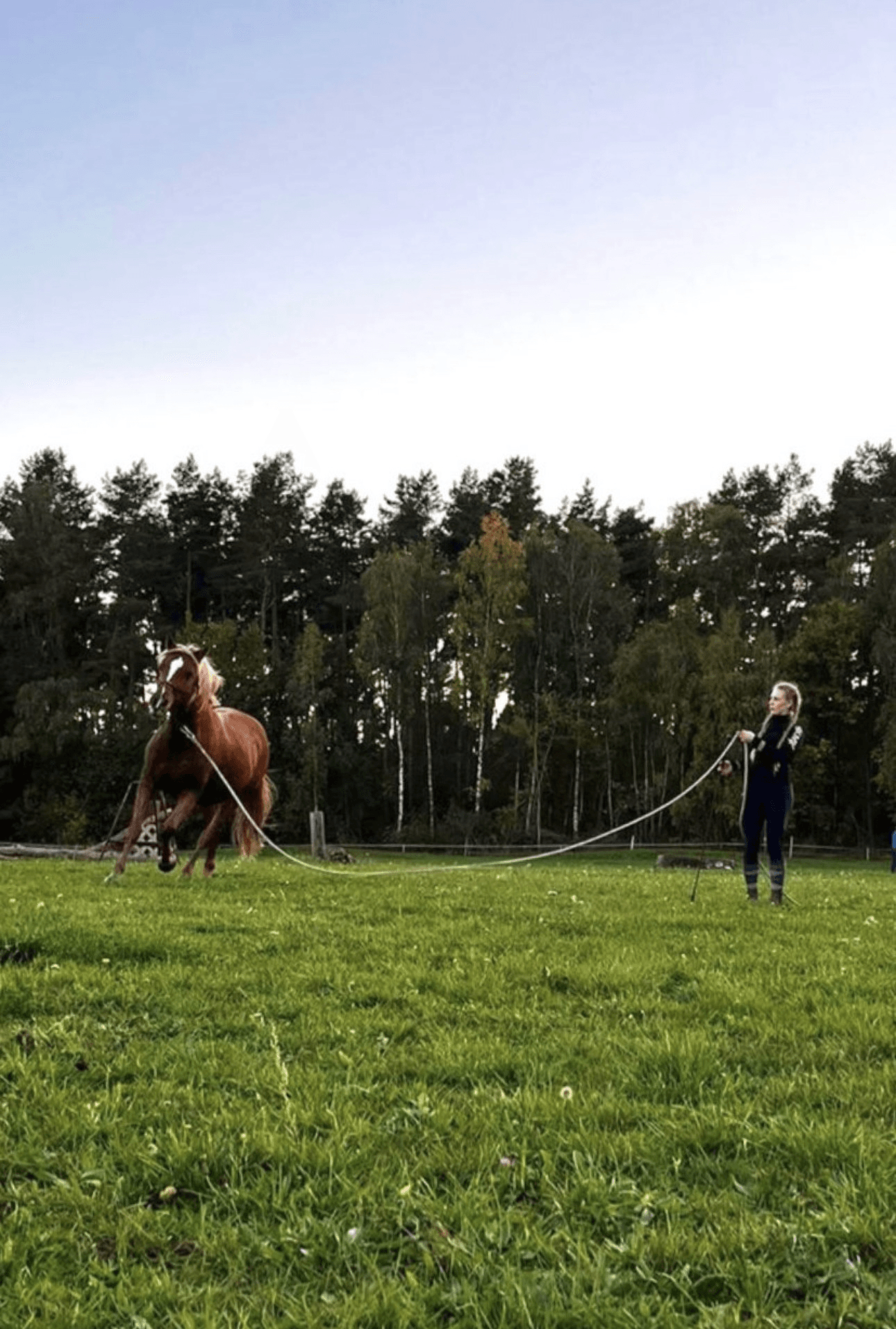 Kombipaket aus Osteopathie und Horsemanship über 3 Monate