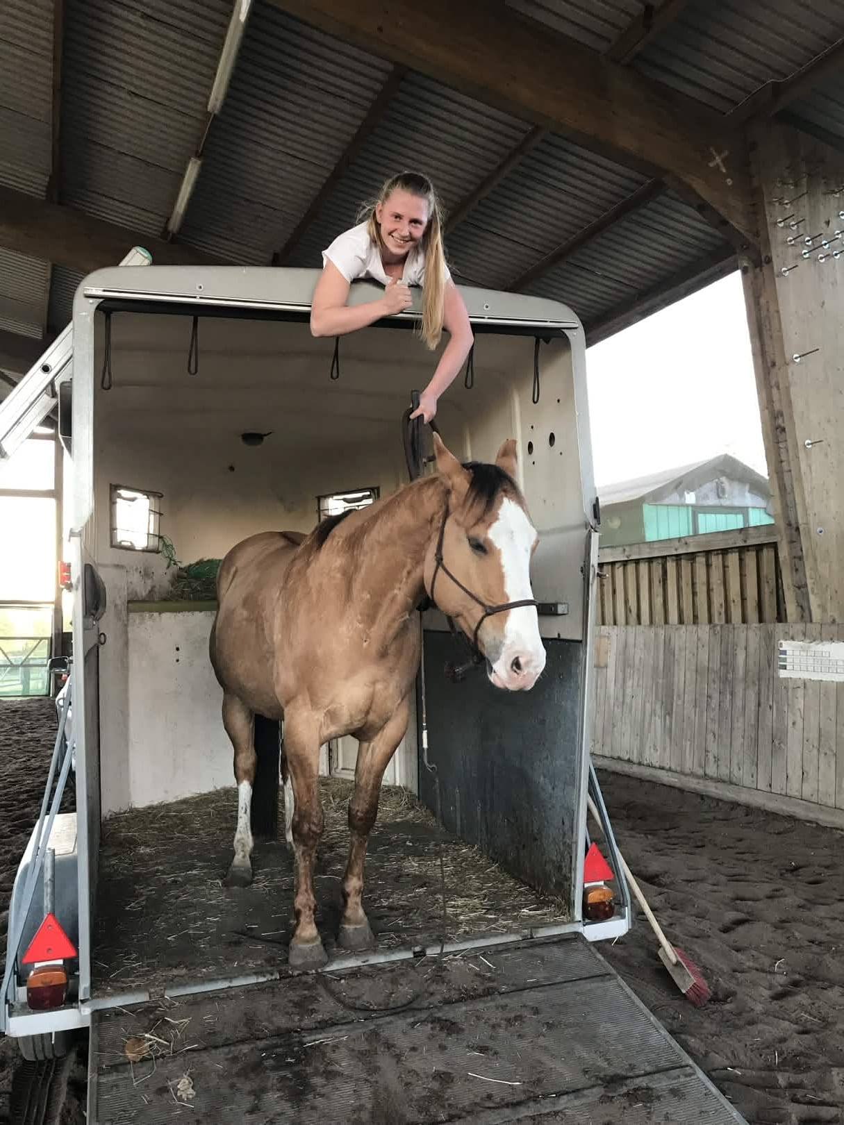 Bodenarbeit mit Pferd, Natural Horsemanship in der Praxis